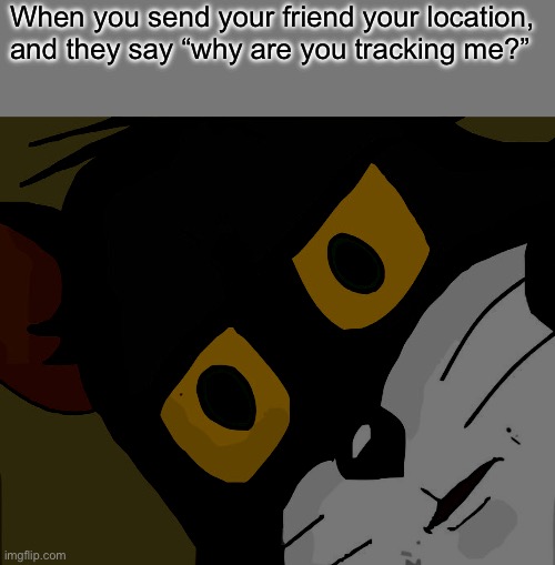 WHAT TH- | When you send your friend your location, and they say “why are you tracking me?” | image tagged in memes,unsettled tom | made w/ Imgflip meme maker