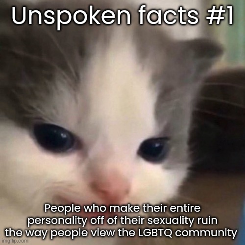Not being homophobic. | Unspoken facts #1; People who make their entire personality off of their sexuality ruin the way people view the LGBTQ community | image tagged in mischief | made w/ Imgflip meme maker