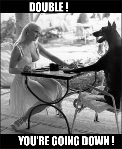 Interspecies Backgammon ! | DOUBLE ! YOU'RE GOING DOWN ! | image tagged in dogs,backgammon | made w/ Imgflip meme maker