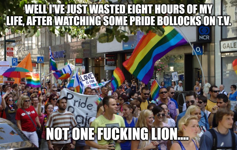 Pride parade | WELL I'VE JUST WASTED EIGHT HOURS OF MY LIFE, AFTER WATCHING SOME PRIDE BOLLOCKS ON T.V. NOT ONE FUCKING LION.... | image tagged in pride parade | made w/ Imgflip meme maker