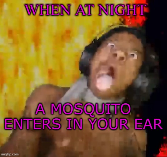 MOSQUITOS | WHEN AT NIGHT; A MOSQUITO ENTERS IN YOUR EAR | image tagged in ishowspeed dying | made w/ Imgflip meme maker