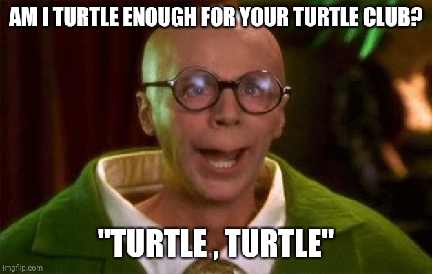 Turtle club | AM I TURTLE ENOUGH FOR YOUR TURTLE CLUB? "TURTLE , TURTLE" | image tagged in turtle club | made w/ Imgflip meme maker