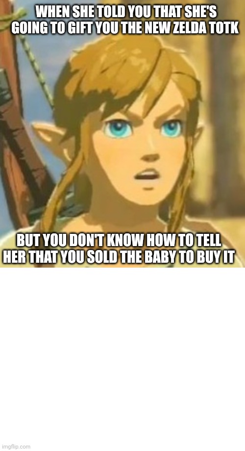 WHEN SHE TOLD YOU THAT SHE'S GOING TO GIFT YOU THE NEW ZELDA TOTK; BUT YOU DON'T KNOW HOW TO TELL HER THAT YOU SOLD THE BABY TO BUY IT | image tagged in offended link | made w/ Imgflip meme maker