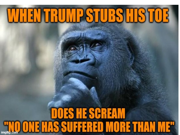 Biggest sufferer in history | image tagged in politics,maga,donald trump,victim,suffering | made w/ Imgflip meme maker