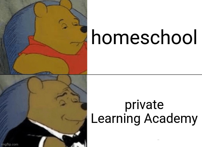 Tuxedo Winnie The Pooh | homeschool; private Learning Academy | image tagged in memes,tuxedo winnie the pooh | made w/ Imgflip meme maker