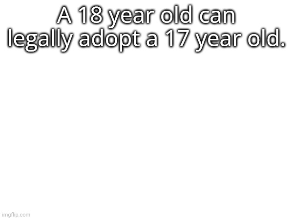 H | A 18 year old can legally adopt a 17 year old. | made w/ Imgflip meme maker