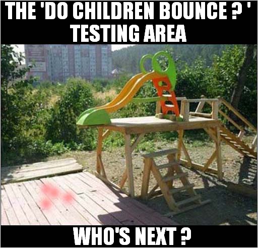 An Educational Day At The Park ! | THE 'DO CHILDREN BOUNCE ? '
TESTING AREA; WHO'S NEXT ? | image tagged in children,bounce,test,dark humour | made w/ Imgflip meme maker