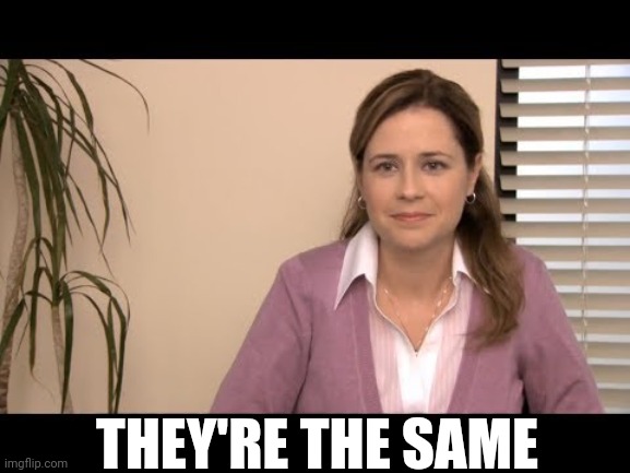 They're the same picture | THEY'RE THE SAME | image tagged in they're the same picture | made w/ Imgflip meme maker