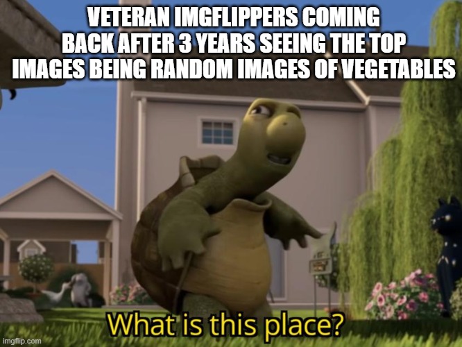 what has this website become | VETERAN IMGFLIPPERS COMING BACK AFTER 3 YEARS SEEING THE TOP IMAGES BEING RANDOM IMAGES OF VEGETABLES | image tagged in what is this place,imgflip,random | made w/ Imgflip meme maker
