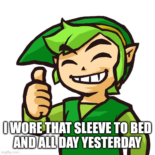Happy Link | I WORE THAT SLEEVE TO BED
AND ALL DAY YESTERDAY | image tagged in happy link | made w/ Imgflip meme maker
