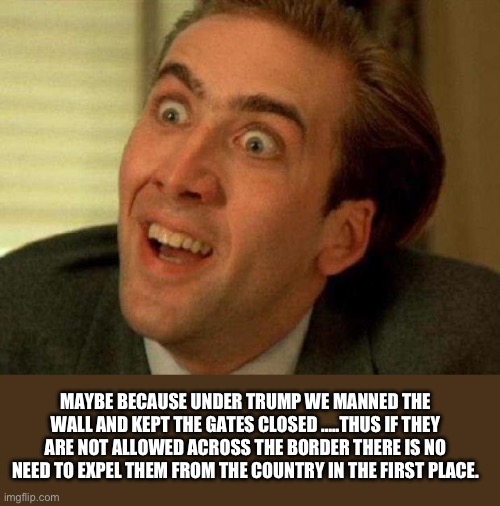 Nicolas cage | MAYBE BECAUSE UNDER TRUMP WE MANNED THE WALL AND KEPT THE GATES CLOSED …..THUS IF THEY ARE NOT ALLOWED ACROSS THE BORDER THERE IS NO NEED TO | image tagged in nicolas cage | made w/ Imgflip meme maker