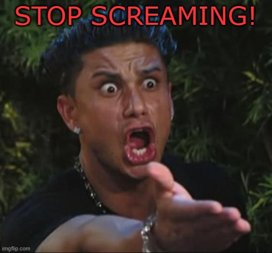 stop screaming | STOP SCREAMING! | image tagged in memes,dj pauly d | made w/ Imgflip meme maker