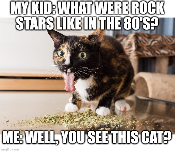 DRUG ADDICT | MY KID: WHAT WERE ROCK STARS LIKE IN THE 80'S? ME: WELL, YOU SEE THIS CAT? | image tagged in drug addict | made w/ Imgflip meme maker
