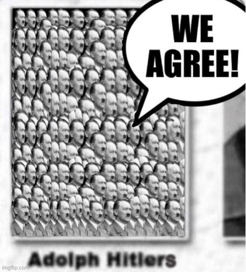 Reply with this whenever a liberal says anything | image tagged in adolf hitlers agreeing | made w/ Imgflip meme maker