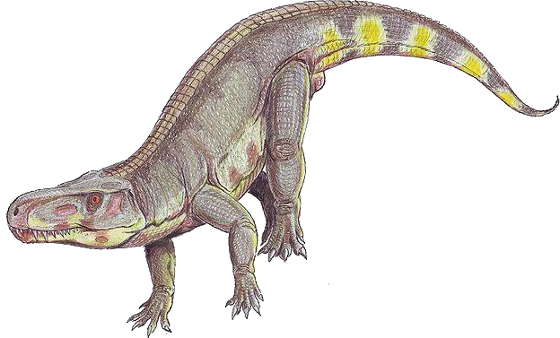 Fasolasuchus Blank Meme Template