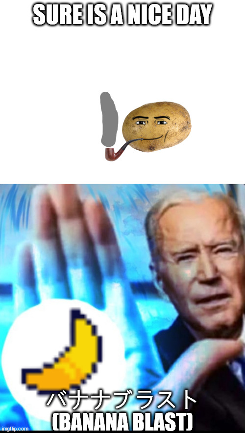 SURE IS A NICE DAY; バナナブラスト
(BANANA BLAST) | image tagged in biden blasted | made w/ Imgflip meme maker
