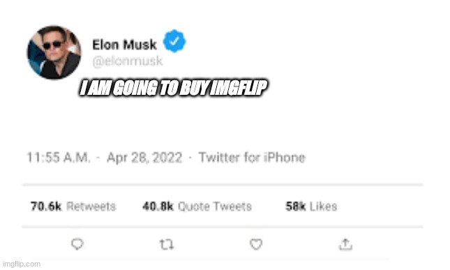 elon musk buys imgflip. | I AM GOING TO BUY IMGFLIP | image tagged in elon musk twitter meme | made w/ Imgflip meme maker