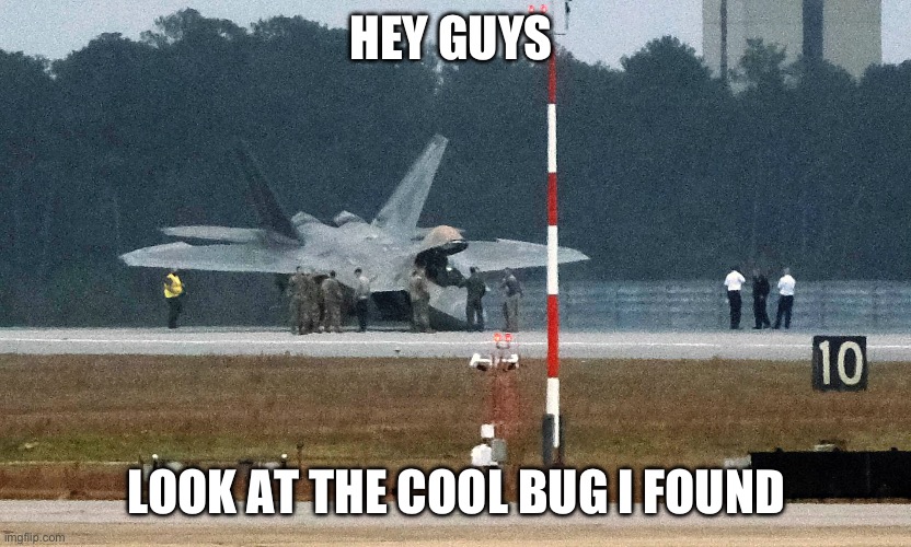 HEY GUYS; LOOK AT THE COOL BUG I FOUND | made w/ Imgflip meme maker