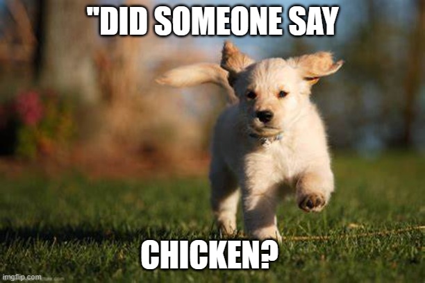 cute running puppy | ''DID SOMEONE SAY; CHICKEN? | image tagged in meme,puppy | made w/ Imgflip meme maker