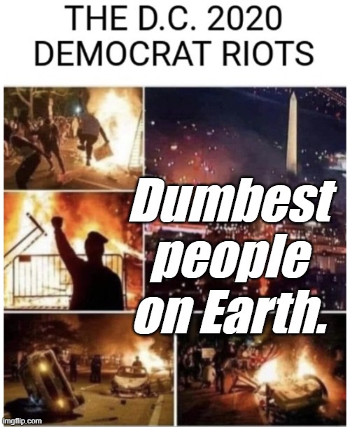These people *ARE IN CHARGE* of the U.S. government. | Dumbest people on Earth. | image tagged in liberals,democrats,lgbtq,blm,antifa,criminals | made w/ Imgflip meme maker
