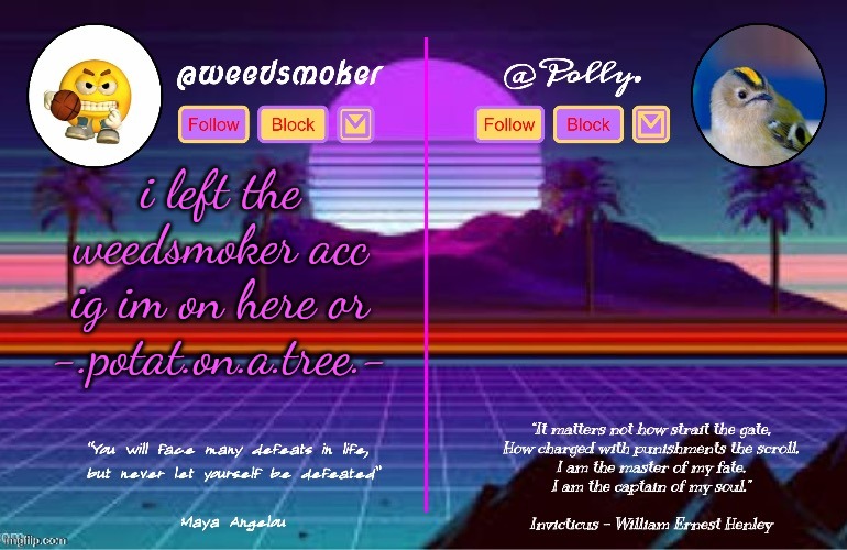 piss | i left the weedsmoker acc
ig im on here or -.potat.on.a.tree.- | image tagged in polly/weedsmoker shared temp thanks del | made w/ Imgflip meme maker