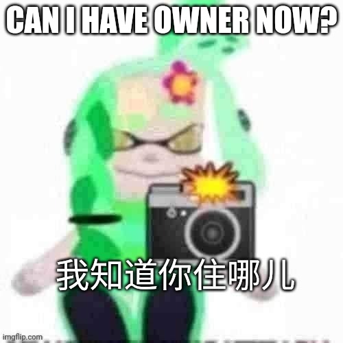4 owners now? | CAN I HAVE OWNER NOW? | image tagged in mint with chinese text | made w/ Imgflip meme maker