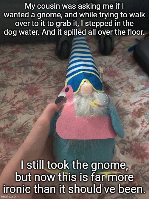 On a family trip rn, you might have seen me mention it a couple times in the Zeldabreathofthewild or Anime stream | My cousin was asking me if I wanted a gnome, and while trying to walk over to it to grab it, I stepped in the dog water. And it spilled all over the floor. I still took the gnome, but now this is far more ironic than it should've been. | made w/ Imgflip meme maker