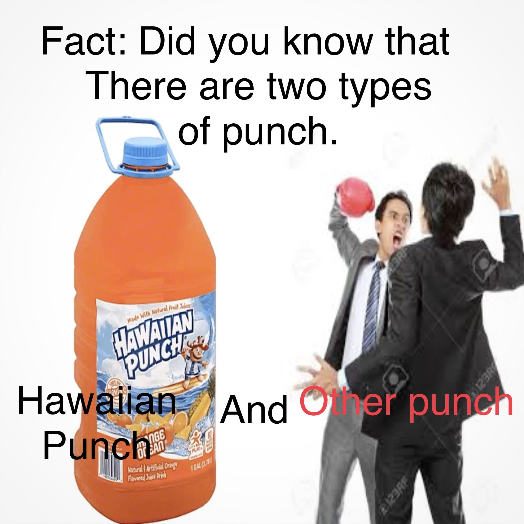 Punch fact Blank Meme Template