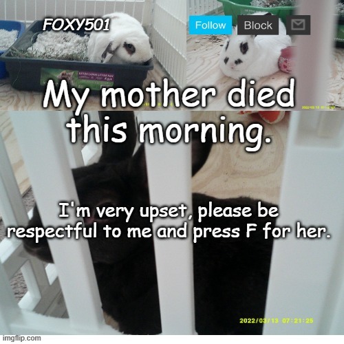 Foxy501 announcement template | My mother died this morning. I'm very upset, please be respectful to me and press F for her. | image tagged in foxy501 announcement template | made w/ Imgflip meme maker