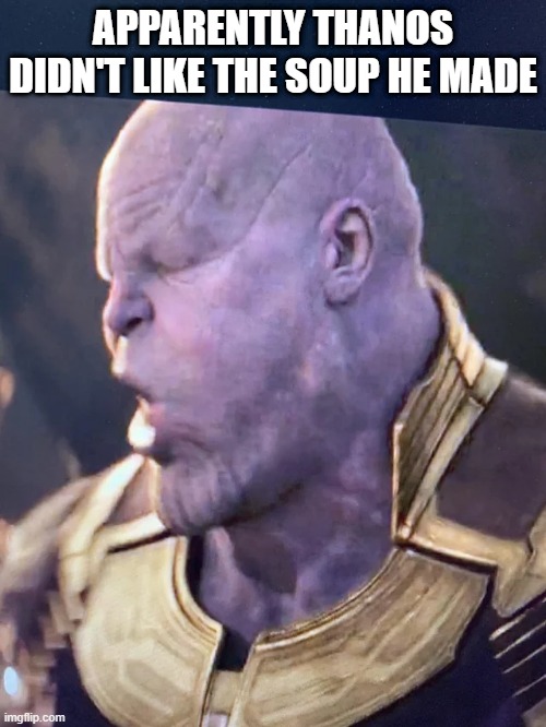 The Garden | APPARENTLY THANOS DIDN'T LIKE THE SOUP HE MADE | image tagged in endgame | made w/ Imgflip meme maker