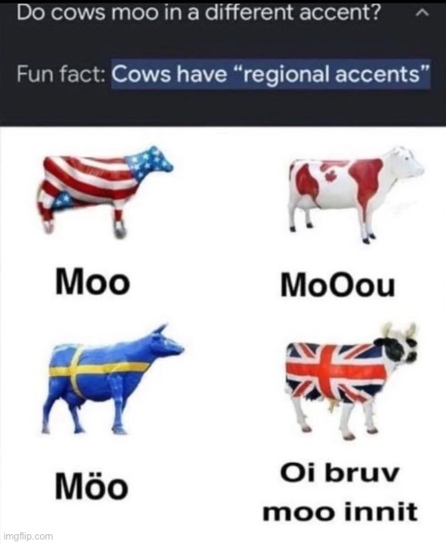 The 5th cow is reading the title | made w/ Imgflip meme maker