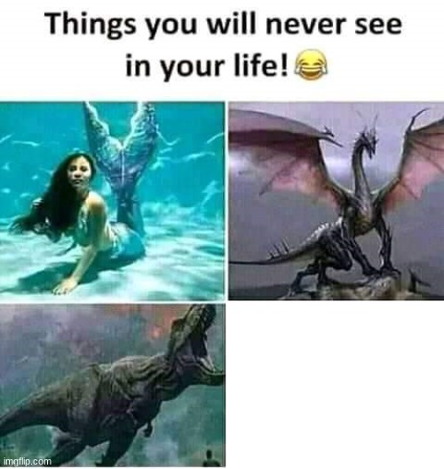 Random temp I found | image tagged in things you will never see in your life | made w/ Imgflip meme maker