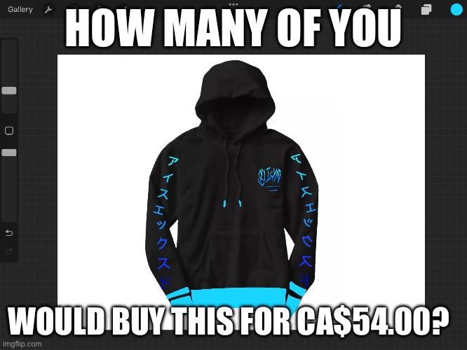 More merch ideas soon | HOW MANY OF YOU; WOULD BUY THIS FOR CA$54.00? | made w/ Imgflip meme maker