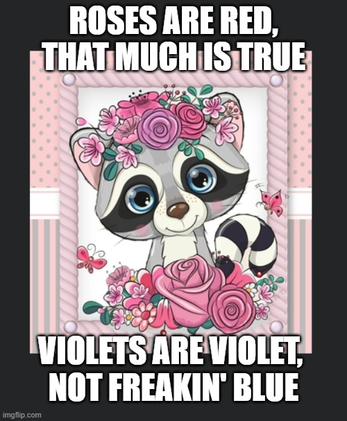 As if you didn't know | ROSES ARE RED, THAT MUCH IS TRUE; VIOLETS ARE VIOLET, NOT FREAKIN' BLUE | image tagged in roses are red,raccoon meme,raccoon | made w/ Imgflip meme maker