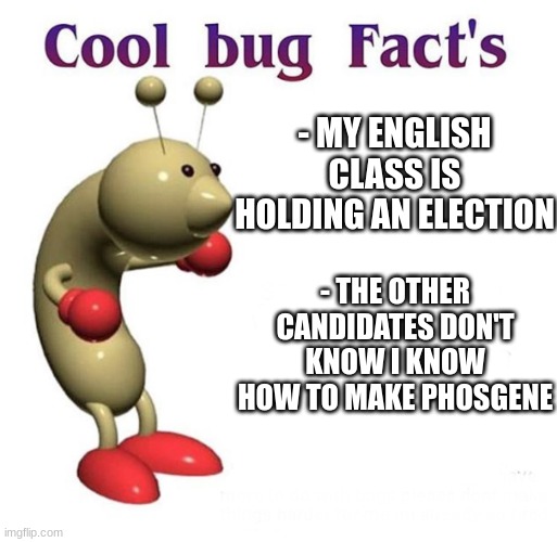 I feel sorry for those who cast votes before knowing the facts | - MY ENGLISH CLASS IS HOLDING AN ELECTION; - THE OTHER CANDIDATES DON'T KNOW I KNOW HOW TO MAKE PHOSGENE | image tagged in cool bug facts | made w/ Imgflip meme maker