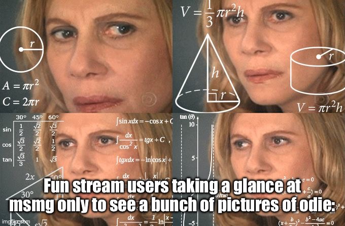 Visible confusion | Fun stream users taking a glance at msmg only to see a bunch of pictures of odie: | image tagged in calculating meme | made w/ Imgflip meme maker