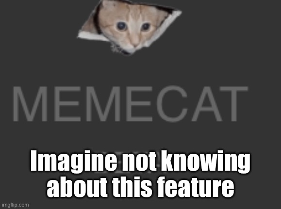Okay, who actually doesn’t know | Imagine not knowing about this feature | made w/ Imgflip meme maker