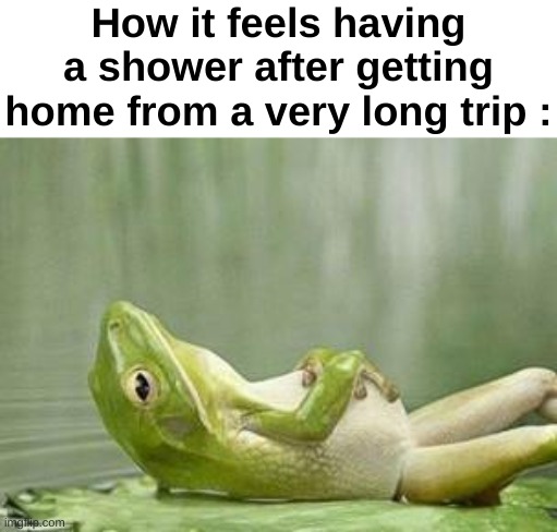 The vibe tho | How it feels having a shower after getting home from a very long trip : | image tagged in memes,funny,relatable,shower,relax frog,front page plz | made w/ Imgflip meme maker