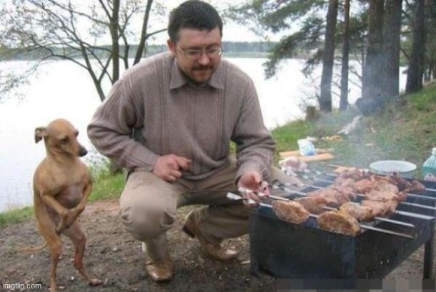 Dog Waiting for BBQ | image tagged in dog waiting for bbq | made w/ Imgflip meme maker