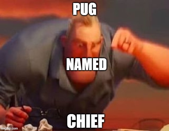 lol | PUG; NAMED; CHIEF | image tagged in mr incredible mad | made w/ Imgflip meme maker