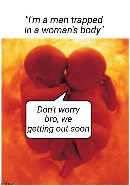 Man in a woman's body | "I'm a man trapped in a woman's body"; Don't worry bro, we getting out soon | image tagged in twins,trapped,funny memes | made w/ Imgflip meme maker