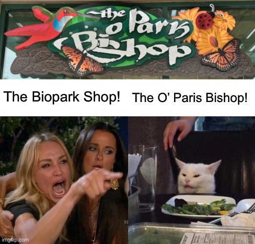 They never fix anything around here | The Biopark Shop! The O’ Paris Bishop! | image tagged in memes,woman yelling at cat | made w/ Imgflip meme maker