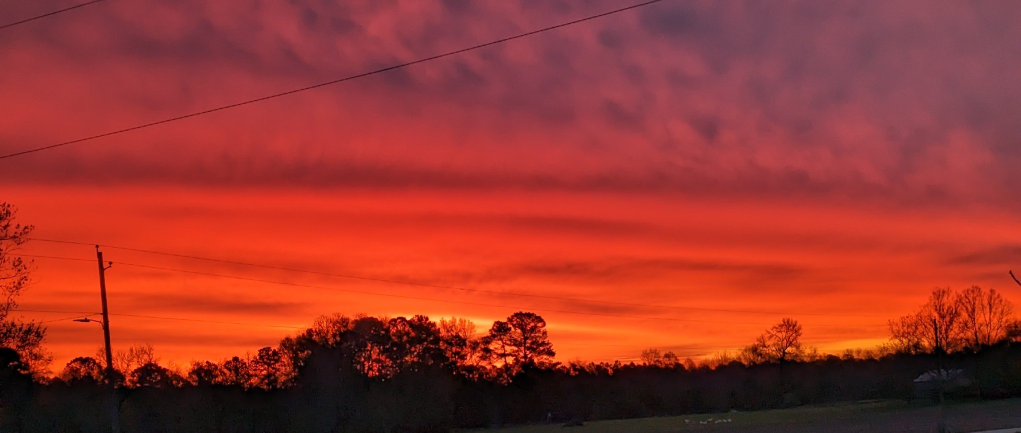 High Quality Paradise Blank Meme Template