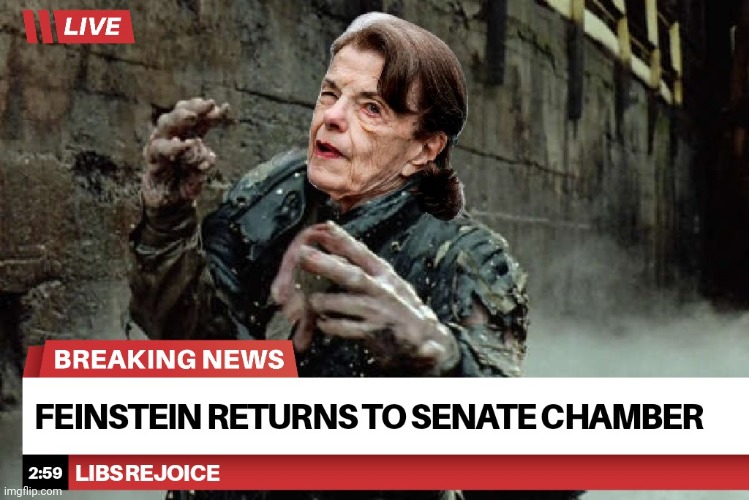 TERM LIMITS | image tagged in dianne feinstein,senate,term limits | made w/ Imgflip meme maker
