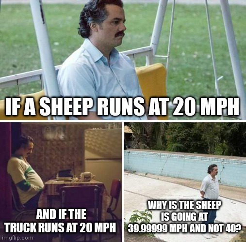 It's a long story! | IF A SHEEP RUNS AT 20 MPH; AND IF THE TRUCK RUNS AT 20 MPH; WHY IS THE SHEEP IS GOING AT 39.99999 MPH AND NOT 40? | image tagged in memes,sad pablo escobar,math | made w/ Imgflip meme maker