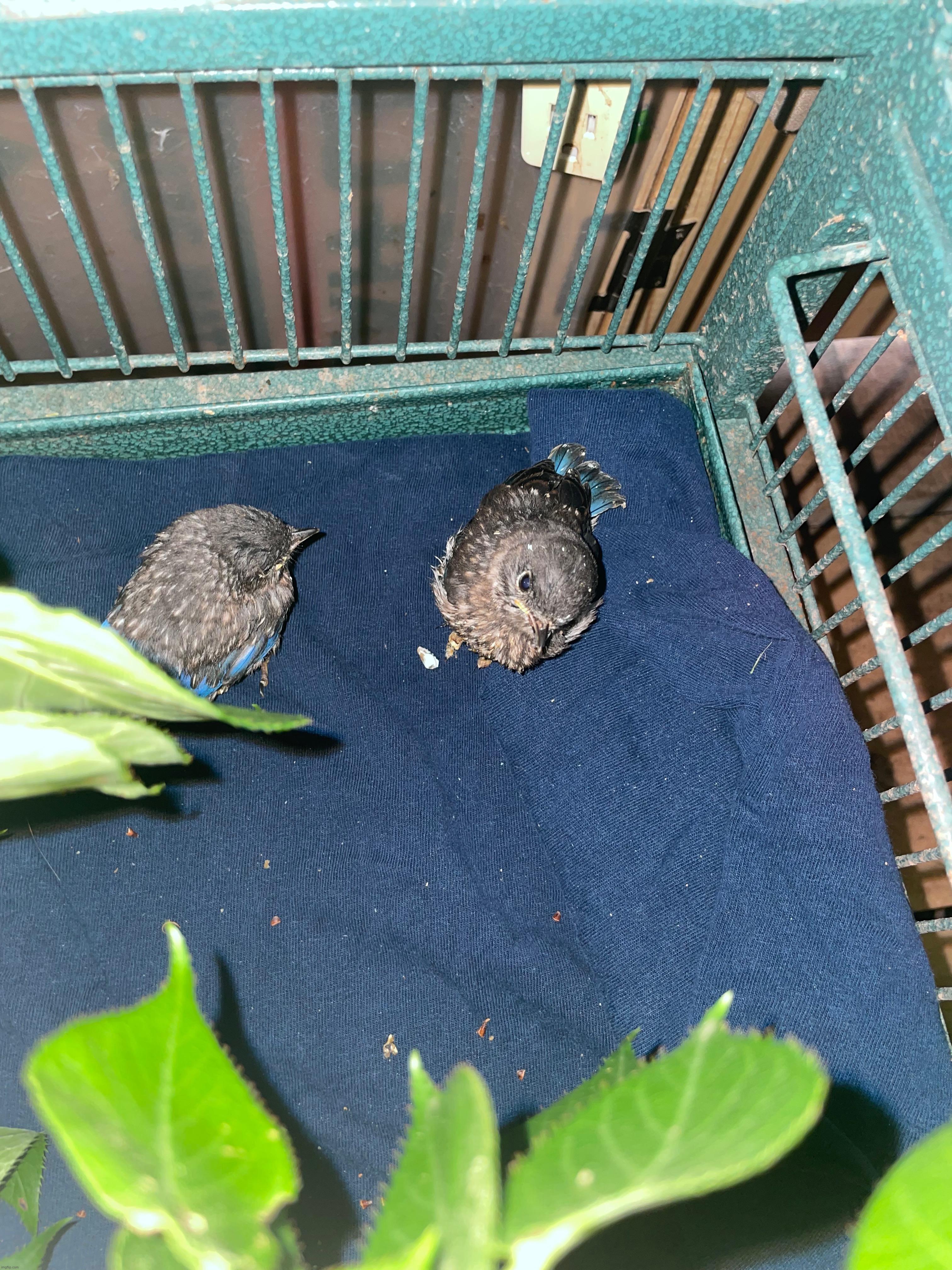 Unsubmitted #30 | made w/ Imgflip meme maker