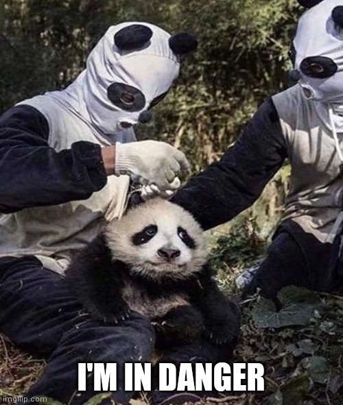 Panda in danger | I'M IN DANGER | image tagged in panda in danger | made w/ Imgflip meme maker