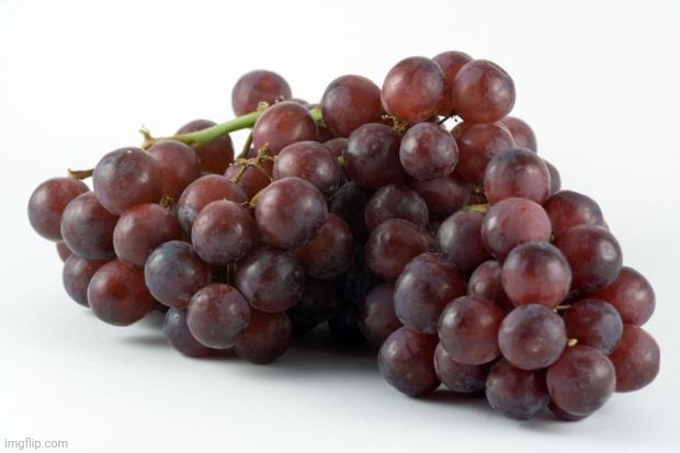 grapes | image tagged in grapes | made w/ Imgflip meme maker