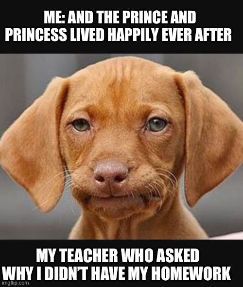 Meme #something | ME: AND THE PRINCE AND PRINCESS LIVED HAPPILY EVER AFTER; MY TEACHER WHO ASKED WHY I DIDN’T HAVE MY HOMEWORK | image tagged in straight face dog,so true memes | made w/ Imgflip meme maker