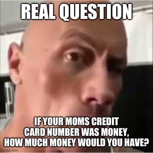REAL QUESTION; IF YOUR MOMS CREDIT CARD NUMBER WAS MONEY, HOW MUCH MONEY WOULD YOU HAVE? | made w/ Imgflip meme maker